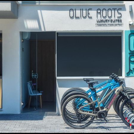 Olive Roots Otel Skala Rachoni  Dış mekan fotoğraf