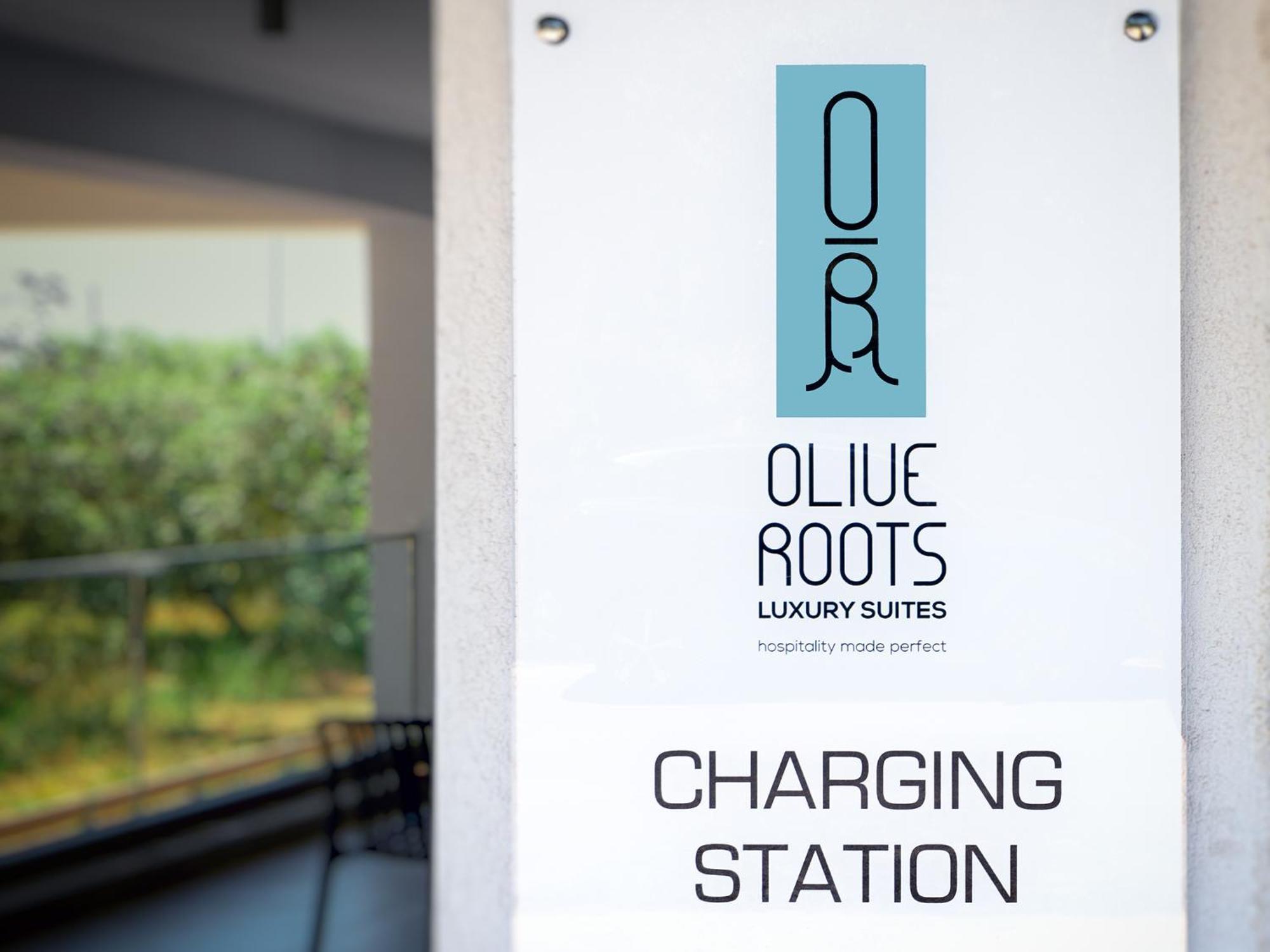 Olive Roots Otel Skala Rachoni  Dış mekan fotoğraf