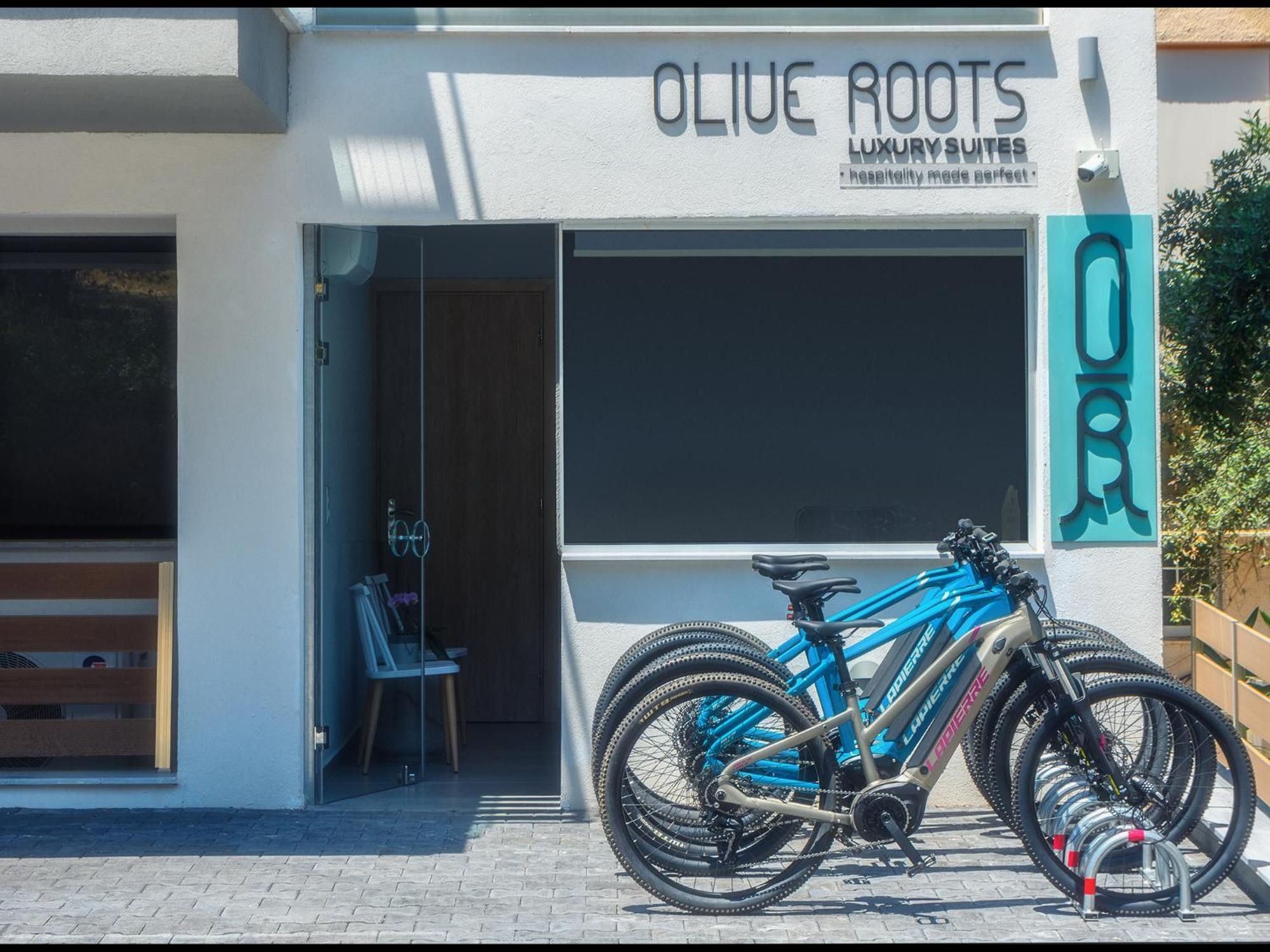 Olive Roots Otel Skala Rachoni  Dış mekan fotoğraf