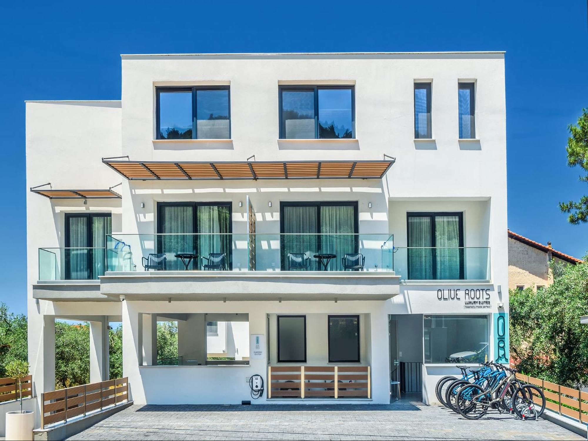 Olive Roots Otel Skala Rachoni  Dış mekan fotoğraf