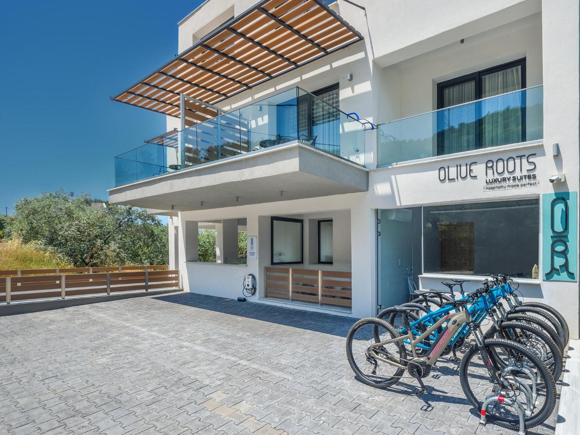 Olive Roots Otel Skala Rachoni  Dış mekan fotoğraf